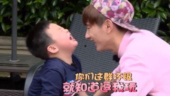 趴着的吃瓜群众,吃瓜群众的热议焦点 第3张 趴着的吃瓜群众,吃瓜群众的热议焦点 第3张